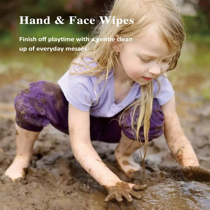 Wet Wipes for Hands and Face Wet Wipes for Hands and Face